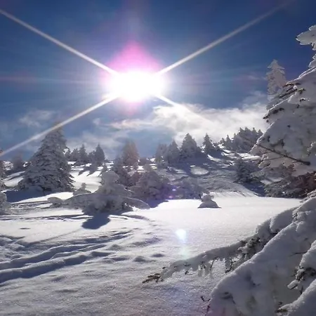 Apartman Eastside By Managers *